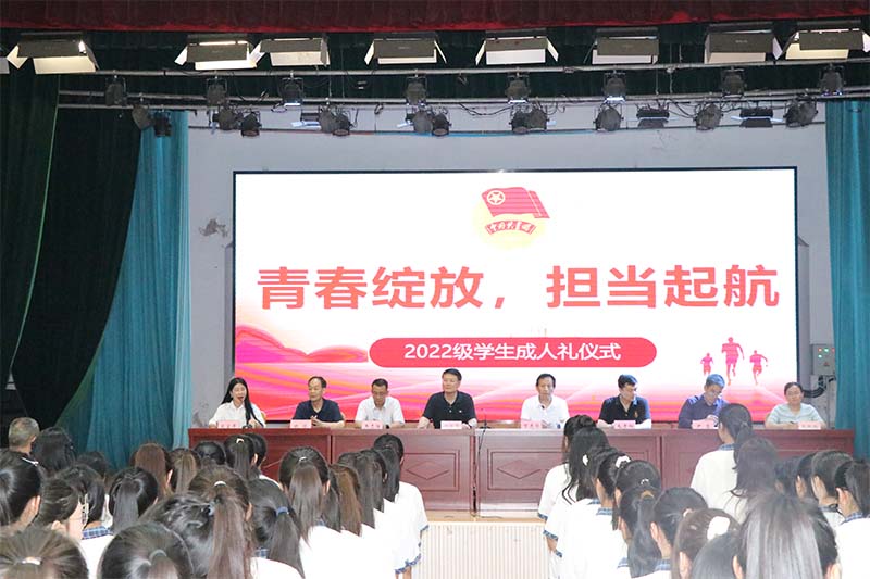 图11